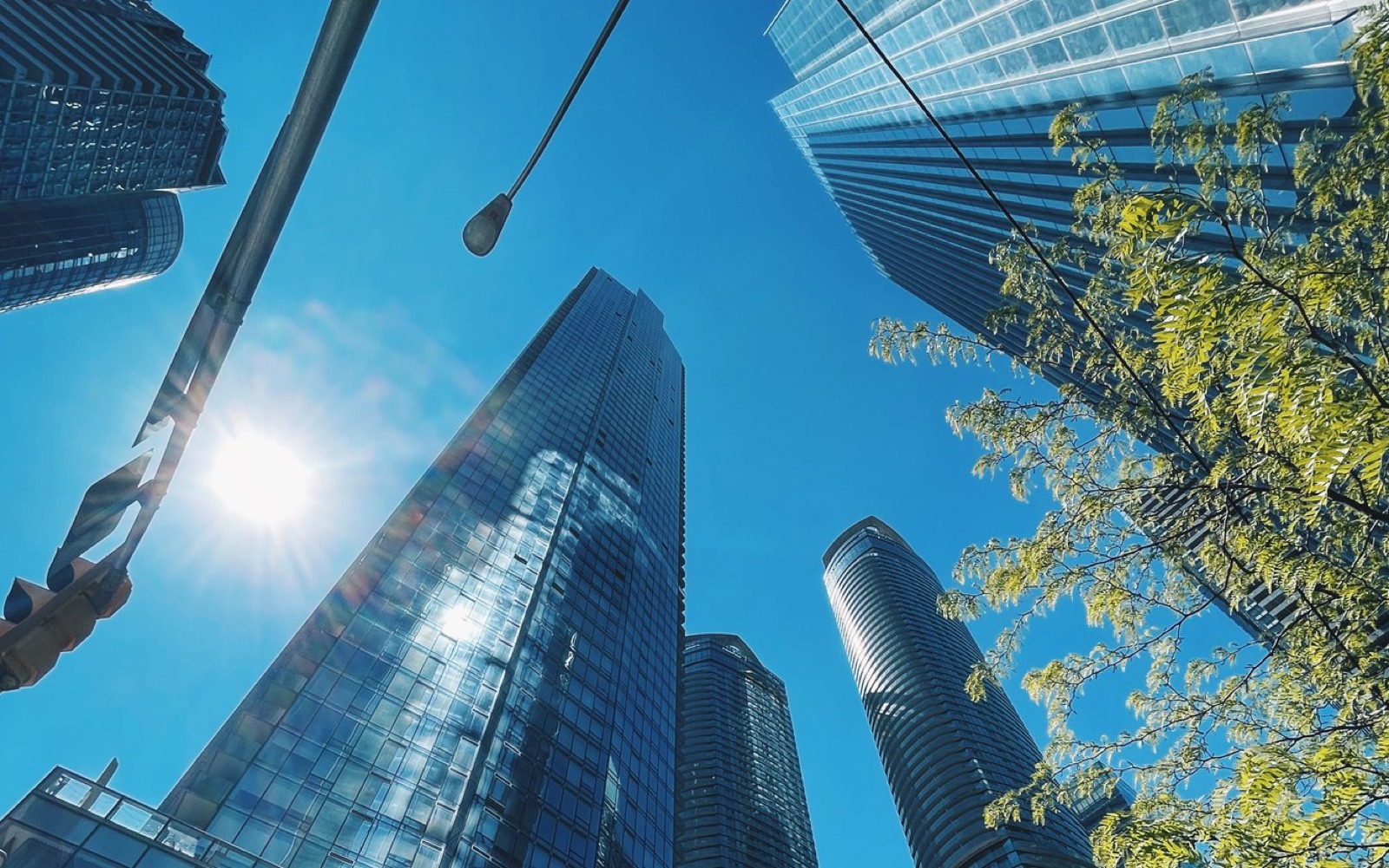 Downtown Toronto towers from street level